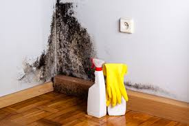 Best Asbestos and Lead Testing During Mold Inspection  in Sayville, NY